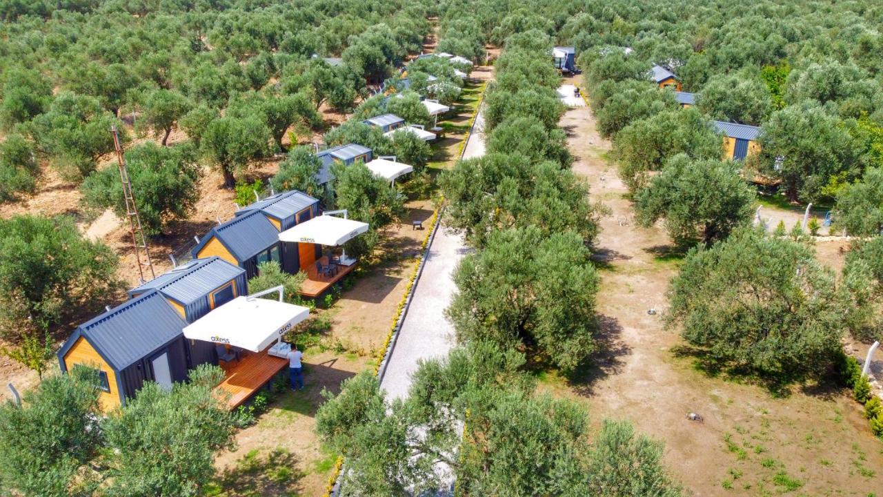 Gulet Tiny House Hotel Ayvacik Eksteriør billede