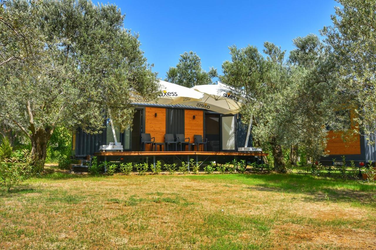 Gulet Tiny House Hotel Ayvacik Eksteriør billede